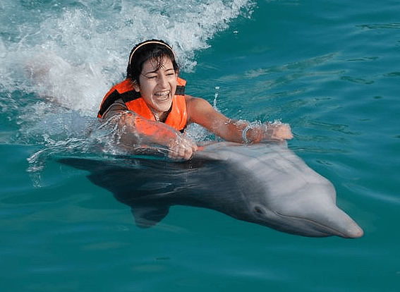 Dolphin_Adventure_St_Kitts_001