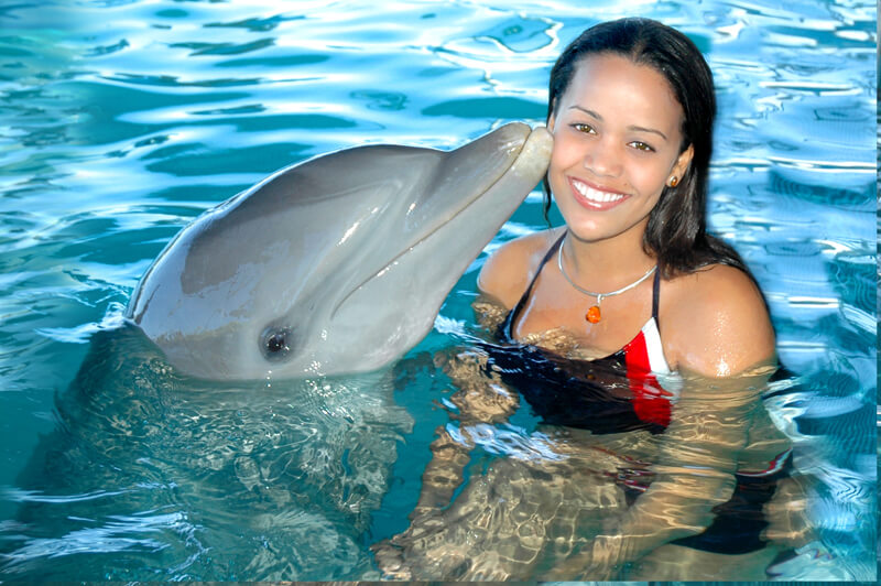 Swim with Dolphins Puerto Plata