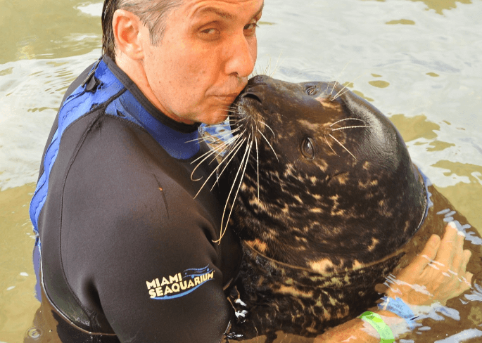 Upclose Kiss with Seals in Miami