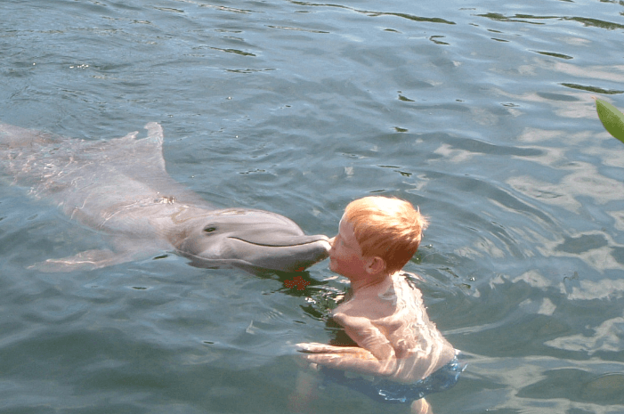 Swimming_with_Dolphins_Florida_Keys_1_Day_Program