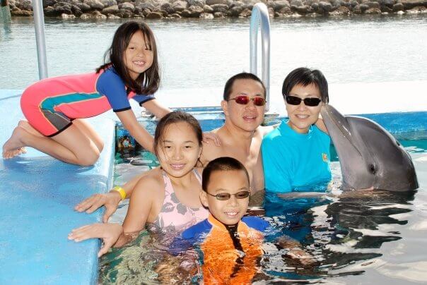 Great family dolphin photos in Nassau Bahamas