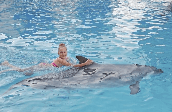 Swim with Dolphins Ocho Rios Jamaica