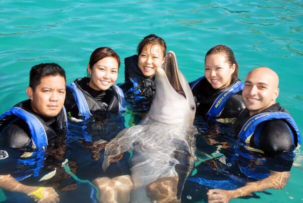 Family fun with Dolphins in Nassau Bahamas