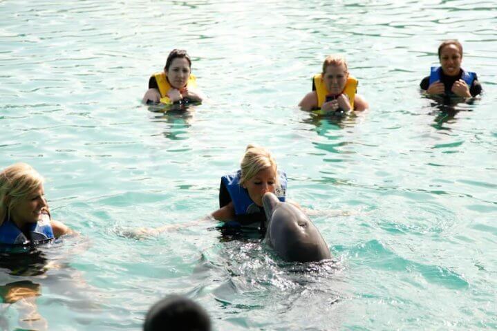 Kiss a dolphin Nassau Bahamas