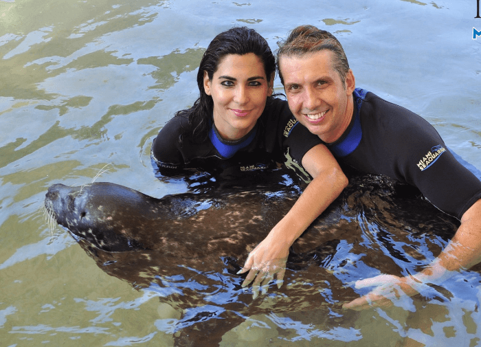 Wrap your arms around a seal in Miami