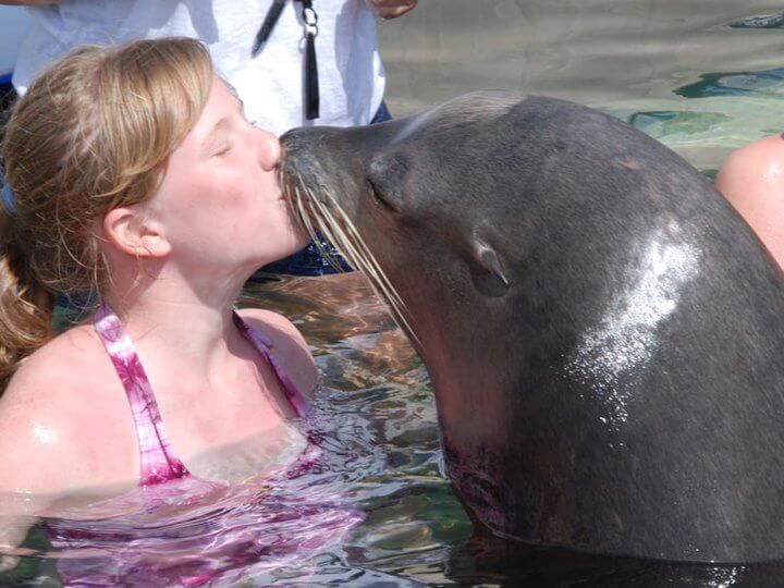Kiss the Sea Lion Nassau Bahamas