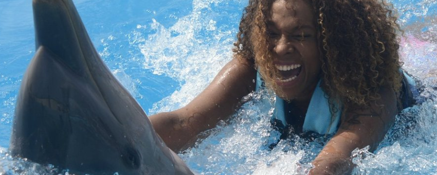 Laughing_with_dolphins_punta_cana