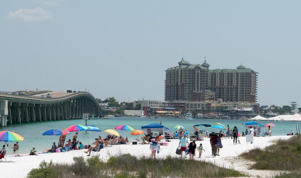 Swim with Dolphins Near Destin, Florida (800) 667-5524