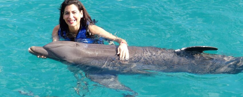 girl petting holding dolphin exploration oahu
