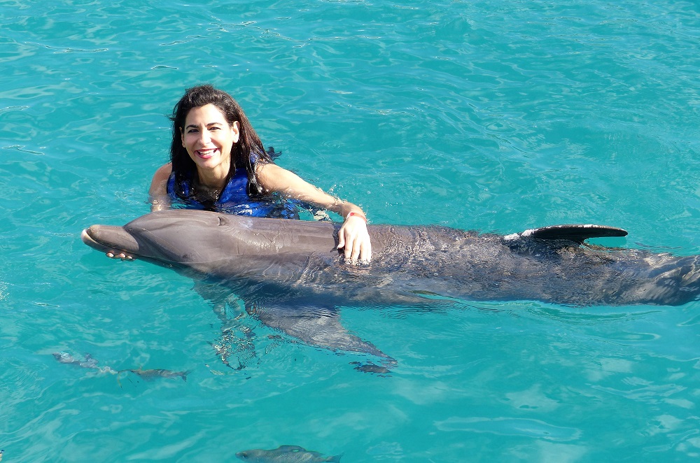 girl petting holding dolphin exploration oahu