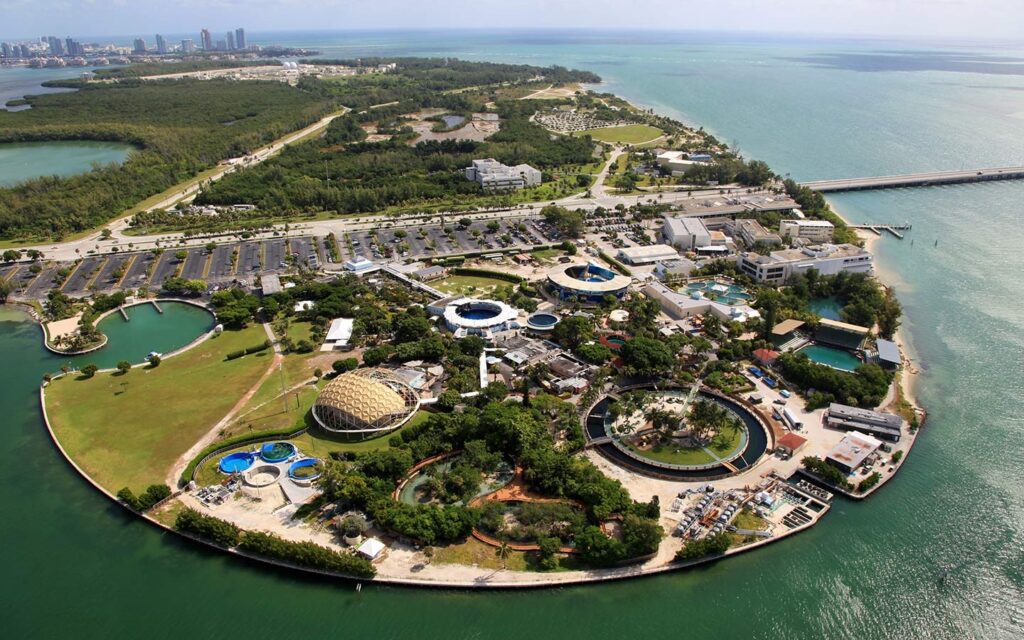 Miami Dolphin Swim Facility
