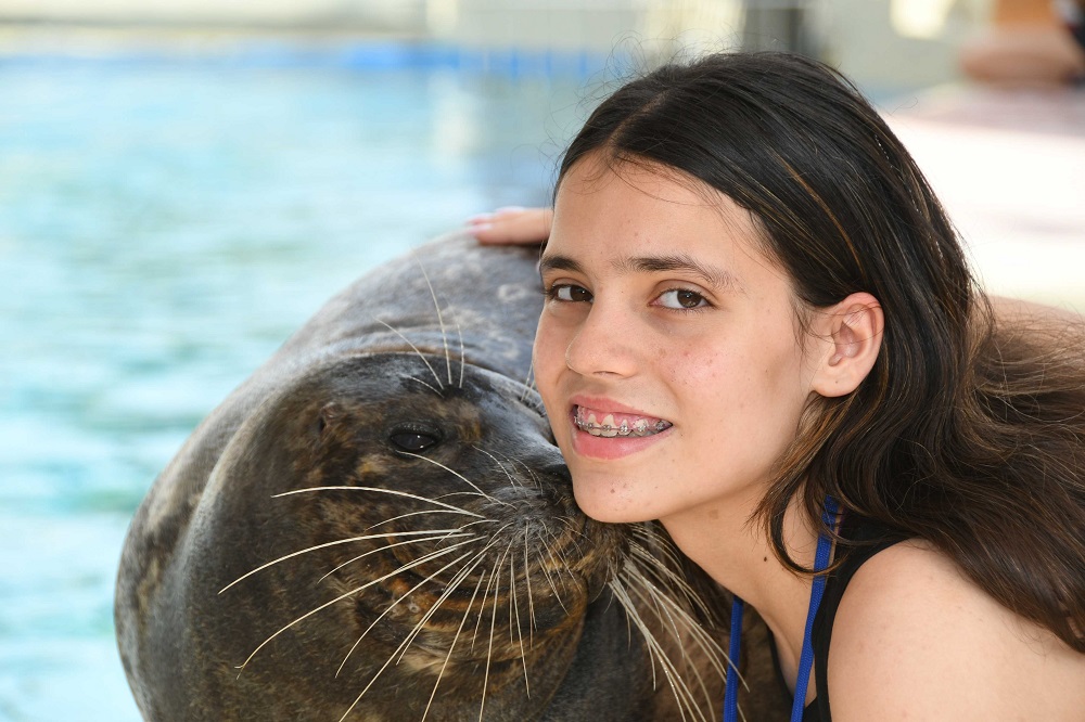 Sahara and Seal