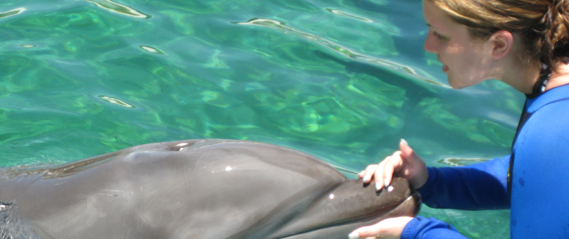 one_and_one_dolphin_and_human