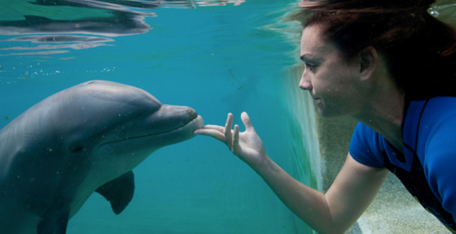 underwater_time_with_customer