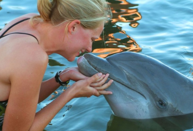 Florida Keys Dolphin Encounter non-swim