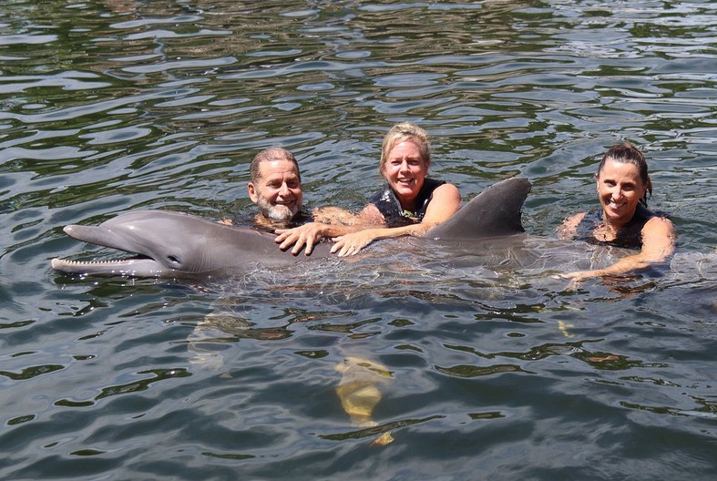 Swim with Dolphins in Key Largo