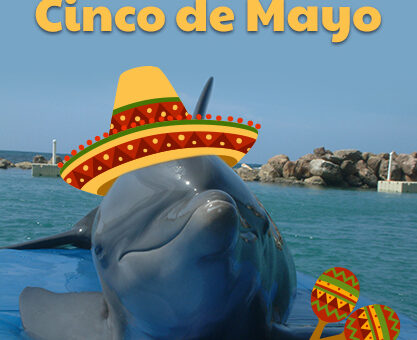 22_Cinco de Mayo