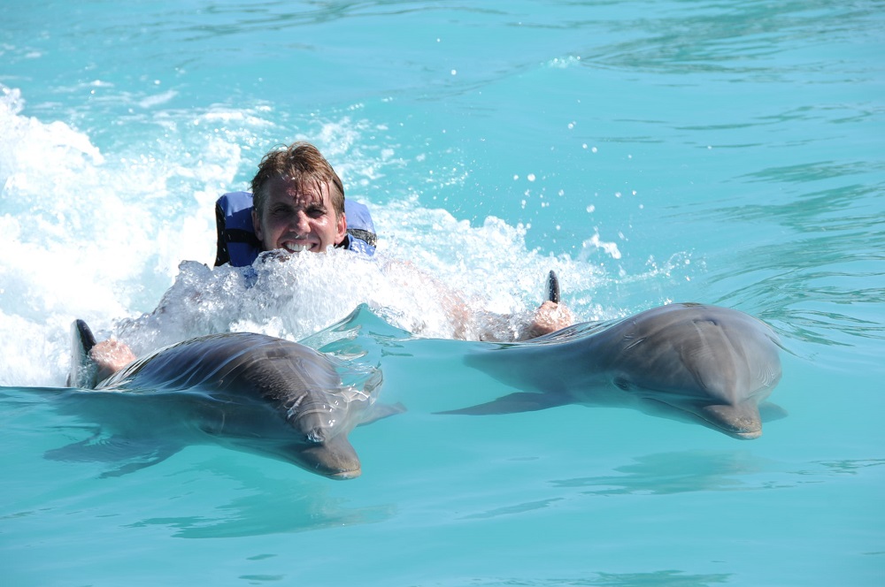 dolphin royal swim grand cayman island