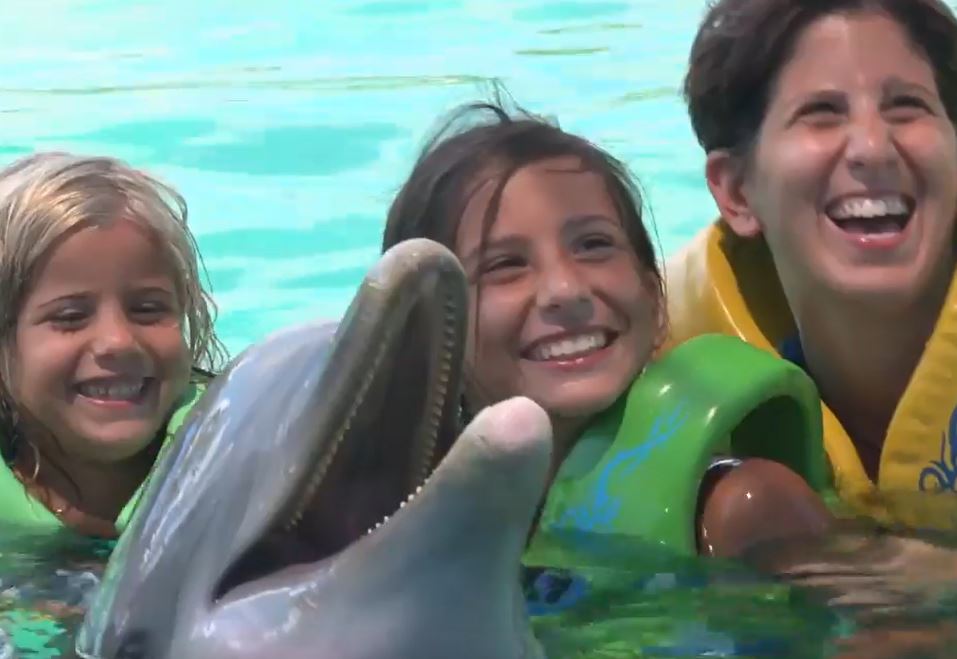 Family doing the Dolphin Swim Nassau Bahamas