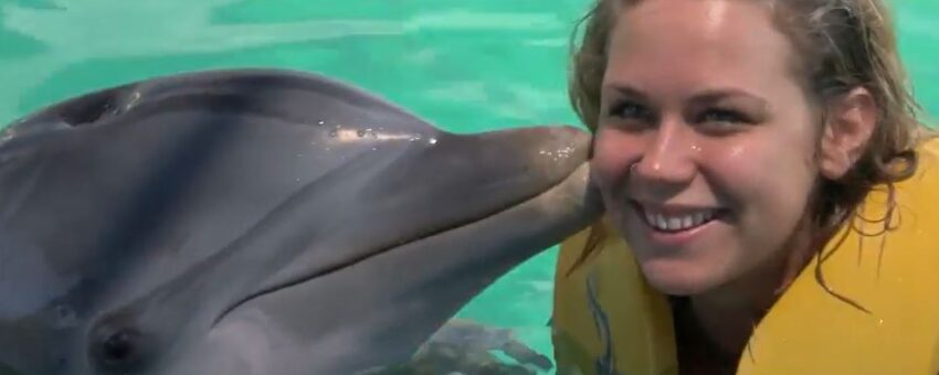 dolphin kiss nassau bahamas