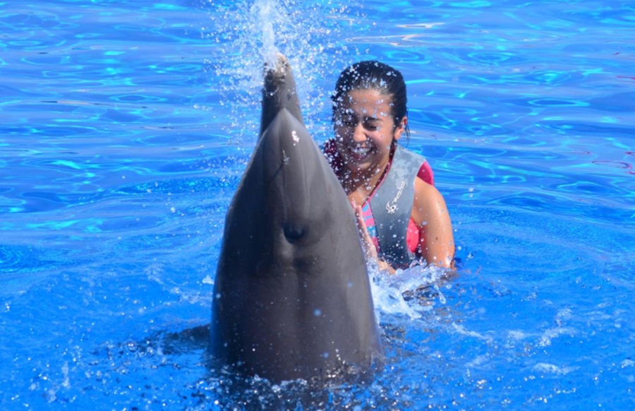 Swimming with dolphins very Near Daytona Beach FL