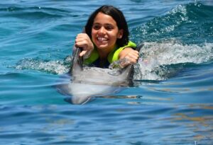 Swim with Dolphins Daytona Beach