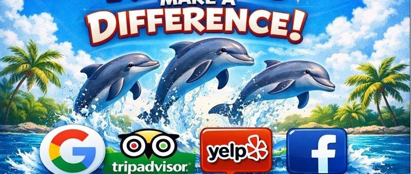 Write a Review Dolphin World