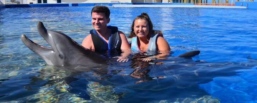 dolphin hold near Daytona Beach 846