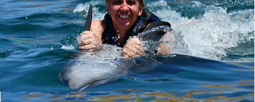 dolphin swim daytona move up 846