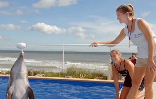 trainer-of-the-day-508-X-321 trainer-of-the-day-508-X-321