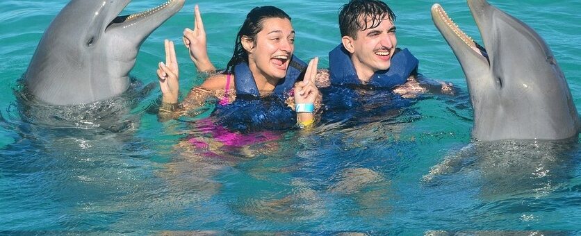 Dolphin fun punta cana bavaro beach