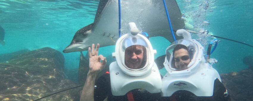 sting ray swim by with ok sign