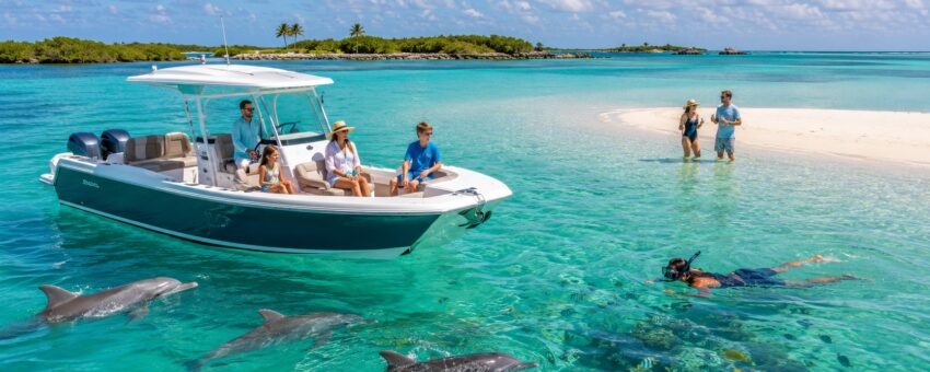 Private Wild Dolphin Charters Key West Florida