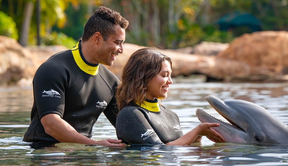 Couples with Dolphins Near Tampa Bay Florida
