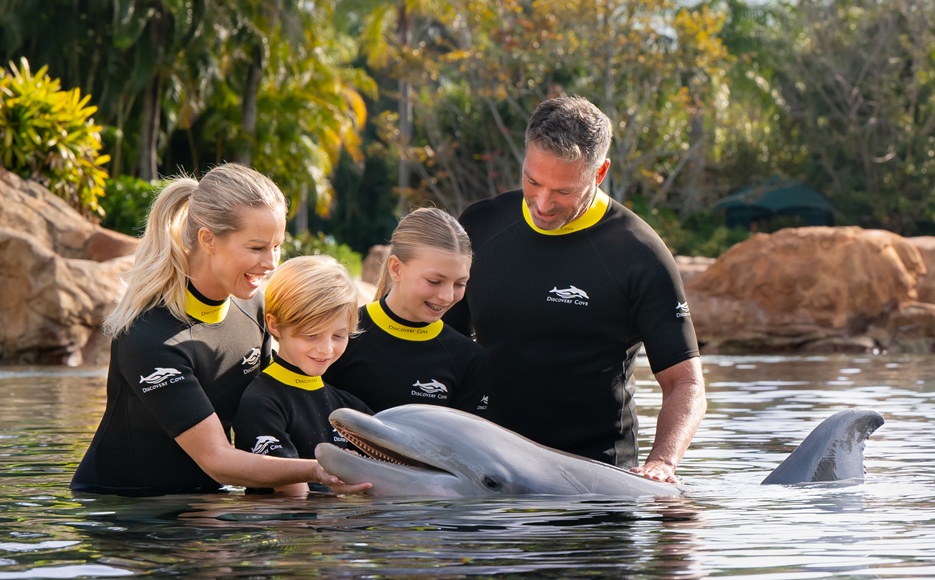 Family with Dolphins in Orlando Family with Dolphins in Orlando