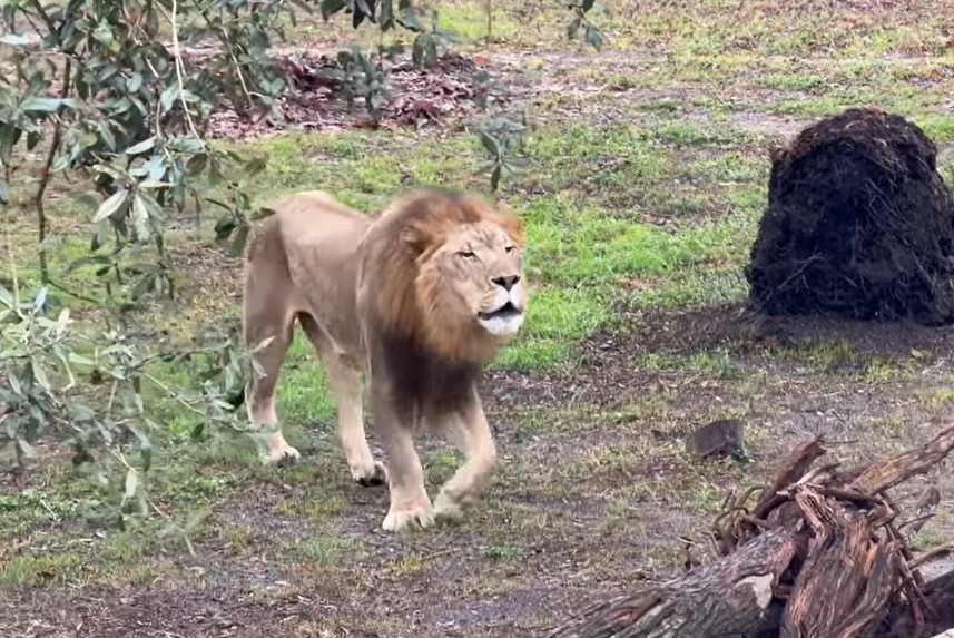 Jacksonville Zoo and Botanical Gardens