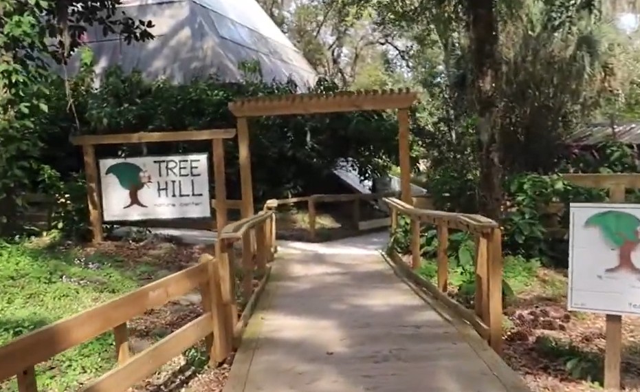 Tree Hill Nature Center