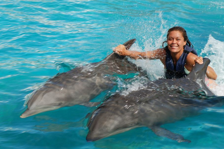 dorsal_fin_ride_oahu