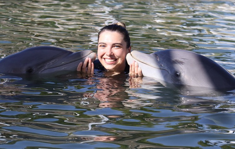 Key Largo Dolphin Swim