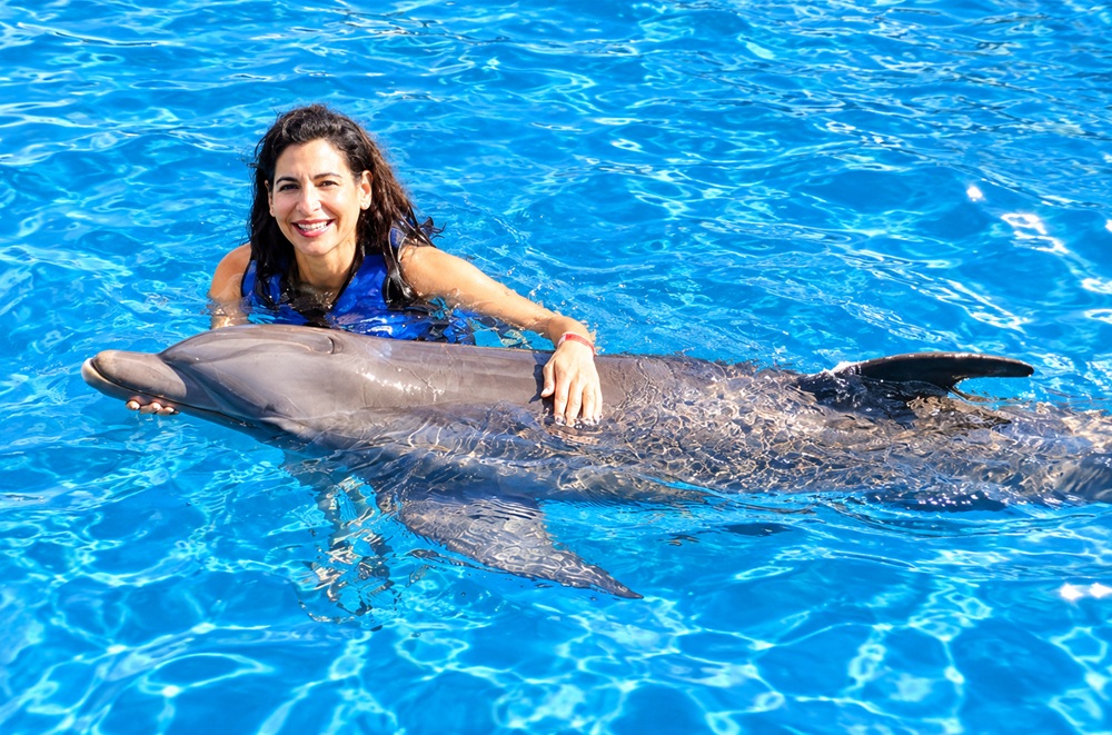 Swim with Dolphins near Daytona Beach