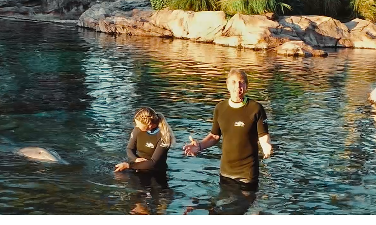 Introduction with Meaghan and John the Dolphin Expert